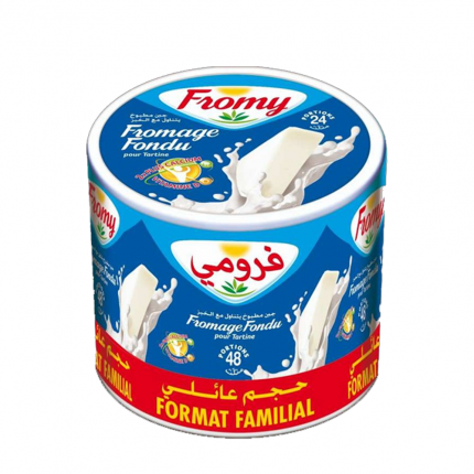 Fromage Fondu Fromy 48 Portions