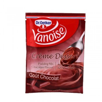 Crème dessert Chocolat Vanoise 40gr