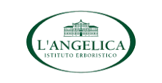 L'angelica